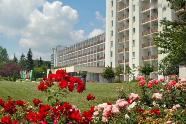 Ссылки тор браузер